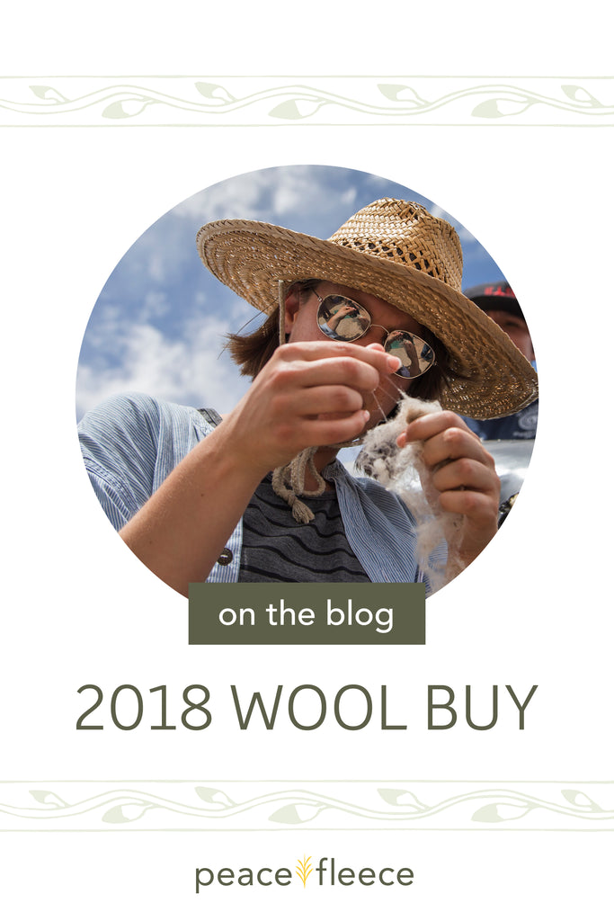 2018 Wool Buy